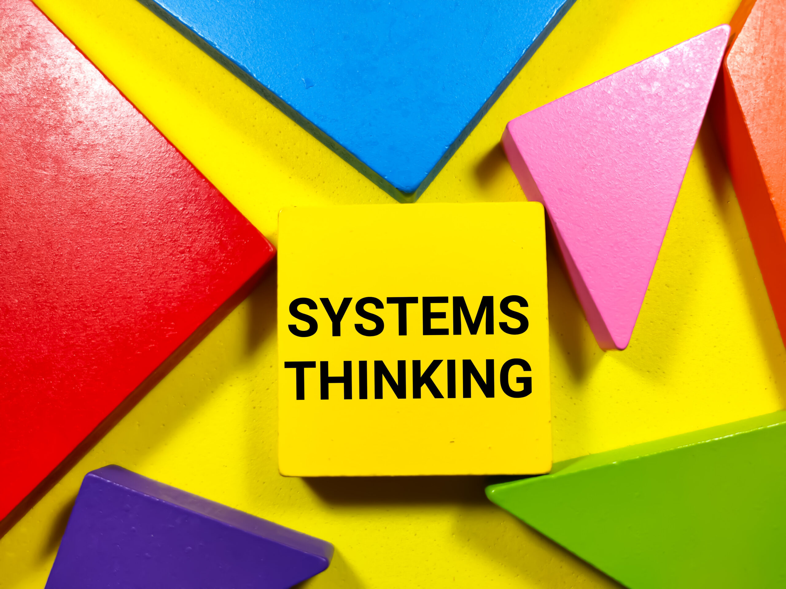 Decoding Relationships and Patterns: Unpacking 'Thinking in Systems ...